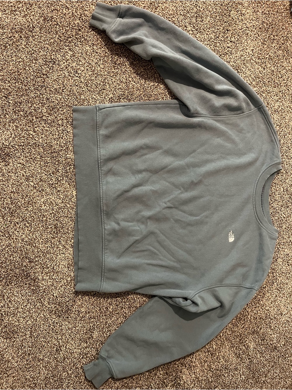 The North Face Evolution Simple Dome Oversized Crewneck Sweatshirt